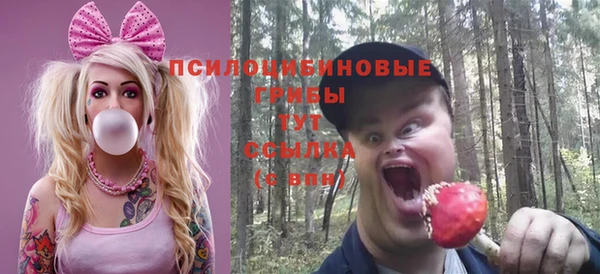 бошки Краснотурьинск