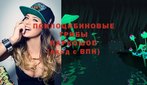 прущая мука Краснослободск