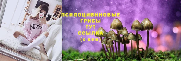 МДПВ Куйбышев