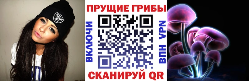 Купить где  Мантурово  Псилоцибиновые грибы Psilocybe 
